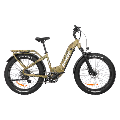 Rambo Rooster 3.0 | 750W Hub Motor | Maximum Speed Up-To 30 Mph | Load Capacity 300 Lbs