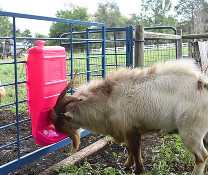 Sydell Pink Poly Mineral & Grain Feeder | #1012 | Capacity 25 lb | For Sheep, Goats & Small Livestock