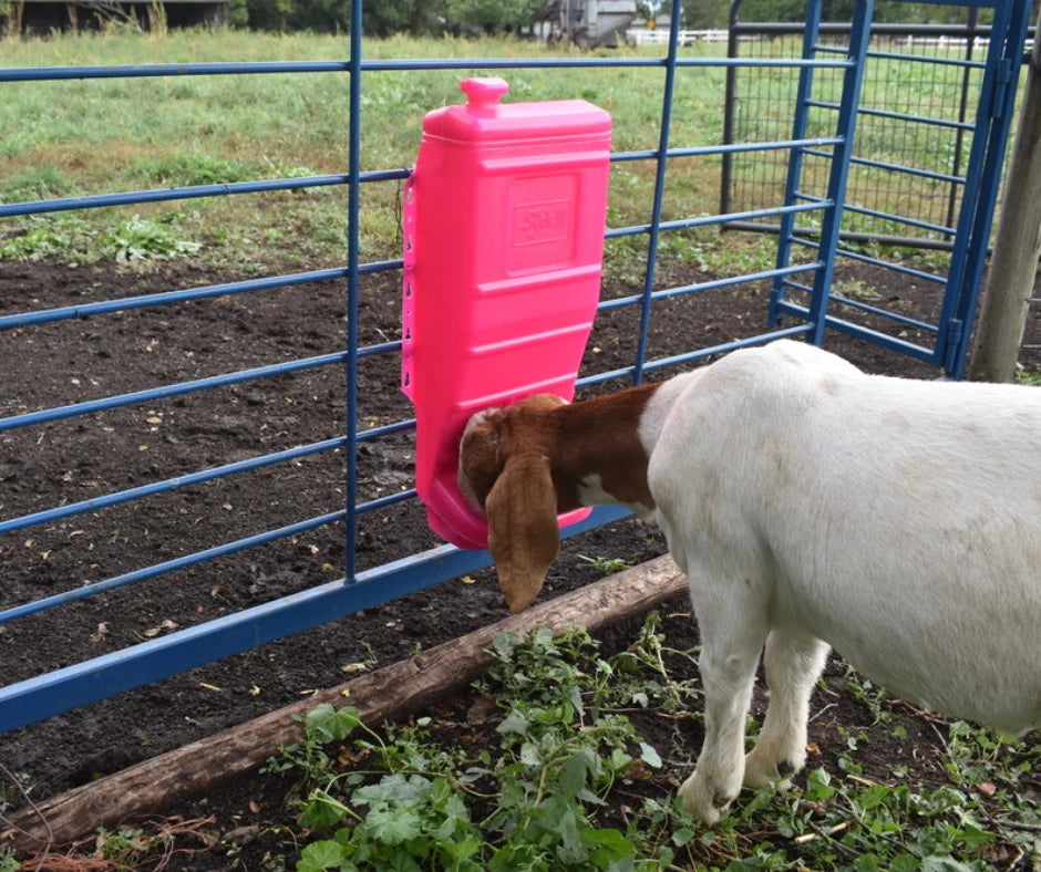 Sydell Pink Poly Mineral & Grain Feeder | #1012 | Capacity 25 lb | For Sheep, Goats & Small Livestock