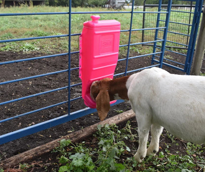 Sydell Pink Poly Mineral & Grain Feeder | #1012 | Capacity 25 lb | For Sheep, Goats & Small Livestock
