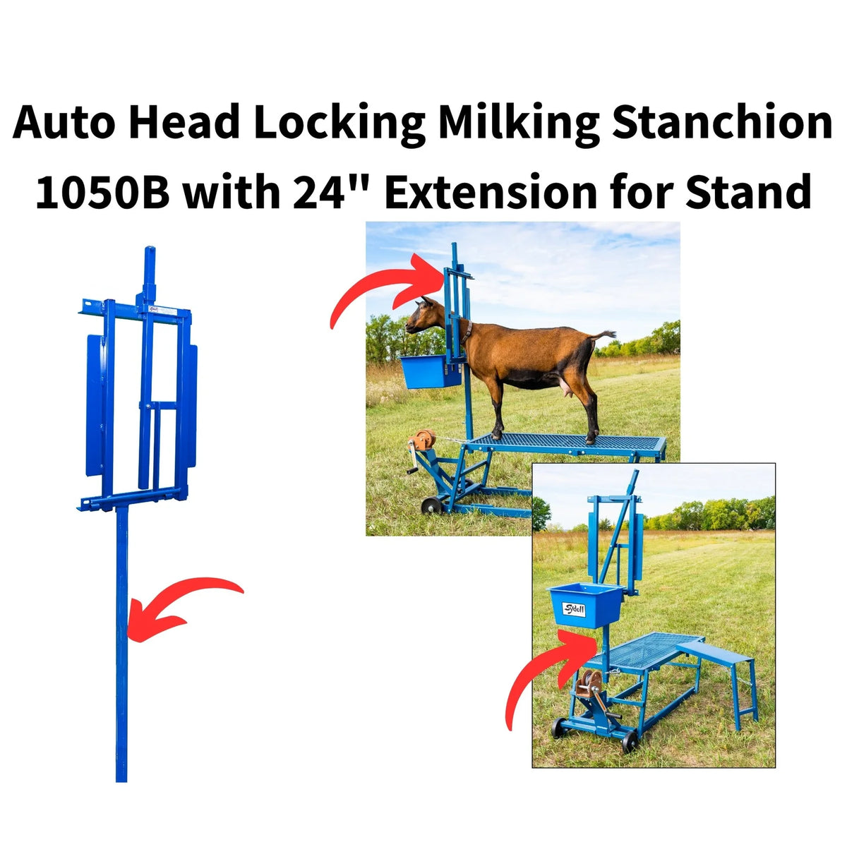 Sydell Auto Head Locking Milking Stanchion | #1050B | Extension 24" | For Sheep & Goat Milking Stand