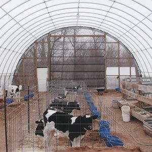 FarmTek Economy Moo-Tels Building System | Livestock Shelter & Equipment Storage | 20', 26', 30' Widths