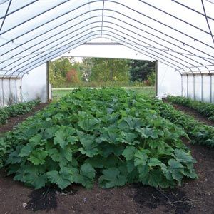 FarmTek GrowSpan Gothic Premium High Tunnel Greenhouse System