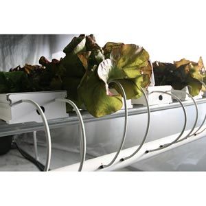 FarmTek HydroCycle 4" Pro NFT Lettuce Growing System | Compact Hydroponic Setup For High-Yield Leafy Greens