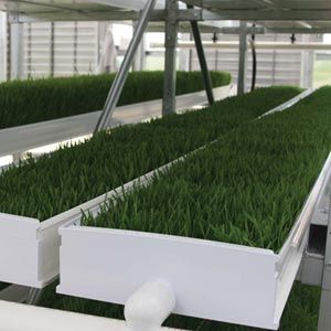 FarmTek FodderPro 2.0 Commercial Feed Module | High-Yield, Space-Saving Indoor Fodder System