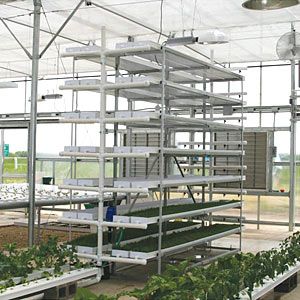 FarmTek FodderPro 2.0 Commercial Feed Module Growing System For Indoor Farming