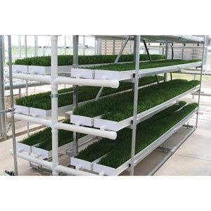 FarmTek FodderPro 2.0 Commercial Feed Module | High-Yield, Space-Saving Indoor Fodder System