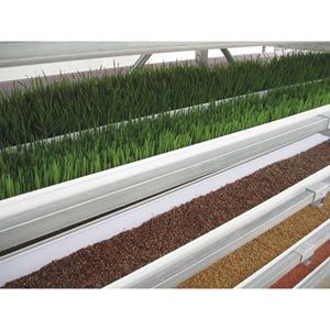 FarmTek FodderPro 2.0 Commercial Feed Module Growing System For Indoor Farming