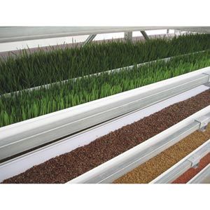 FarmTek FodderPro 2.0 Commercial Feed Module | High-Yield, Space-Saving Indoor Fodder System