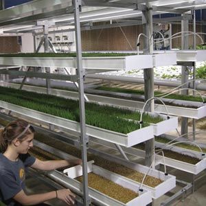 FarmTek FodderPro 2.0 Feed Module Growing System For Indoor Farming