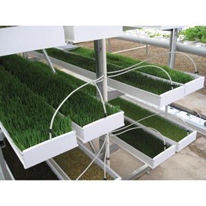 FarmTek FodderPro 2.0 Feed Module Growing System For Indoor Farming