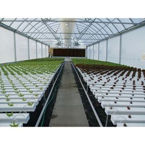 FarmTek HydroCycle Commercial 6" NFT Lettuce Growing Systems For Indoor Farming