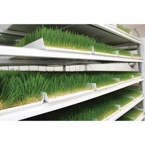 FarmTek FodderPro 3.0 Commercial Feed Module Growing System For Indoor Farming