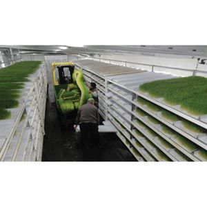 FarmTek FodderPro 3.0 Commercial Feed Module Growing System For Indoor Farming