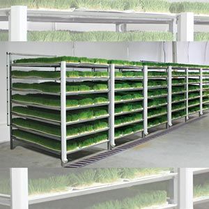 FarmTek FodderPro 3.0 Commercial Feed Module Growing System For Indoor Farming