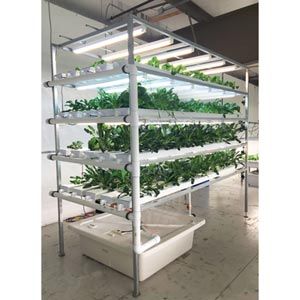 FarmTek HydroCycle Vertical Farming NFT System | Lettuce & Herb Hydroponic System