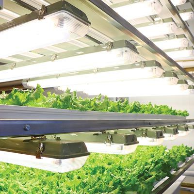 FarmTek HydroCycle Vertical Farming NFT Lettuce & Herb Systems
