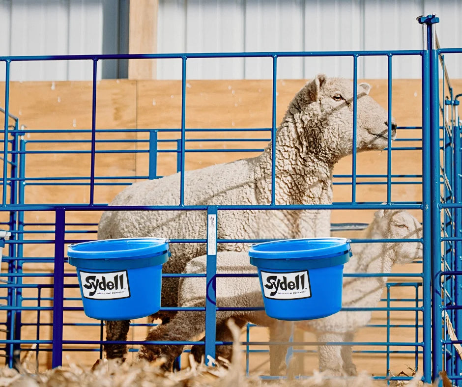 Sydell Freestanding Add-On Pens | #0112B | 6' Width | Sheep & Goat Lambing & Kidding Pens
