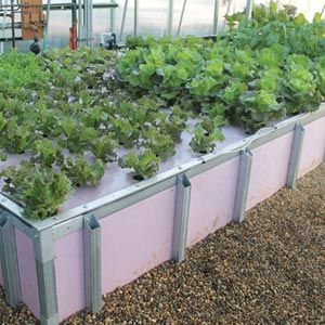 FarmTek HydroCycle Raft Bed Hydroponic Growing Systems For Indoor Farming