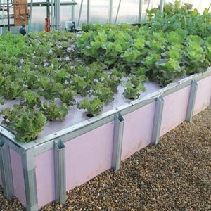 FarmTek HydroCycle Raft Bed System | Indoor Hydroponic Growing For Leafy Greens, Available Multiple Lengths