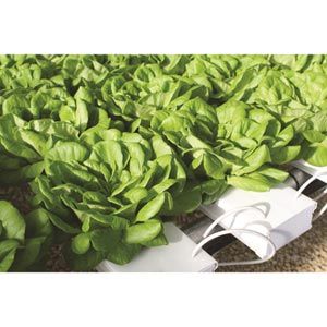 FarmTek HydroCycle Commercial 6" NFT | Growing Systems For Indoor Farming