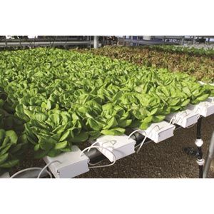 FarmTek HydroCycle Commercial 6" NFT | Growing Systems For Indoor Farming