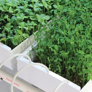 FarmTek HydroCycle 9" Pro Microgreen Table | Indoor Hydroponic System, Growing Space