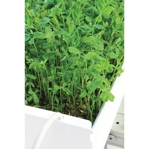 FarmTek HydroCycle 9" Pro Microgreen Table Hydroponic Growing System For Indoor Farming