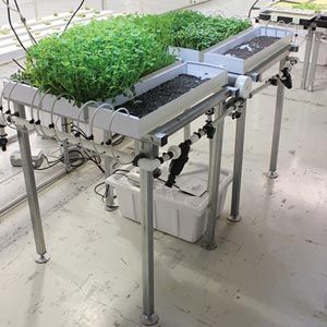 FarmTek HydroCycle 9" Pro Microgreen Table | Indoor Hydroponic System, Growing Space