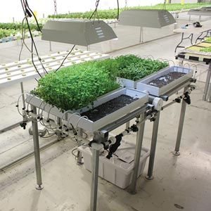 FarmTek HydroCycle 9" Pro Microgreen Table Hydroponic Growing System For Indoor Farming