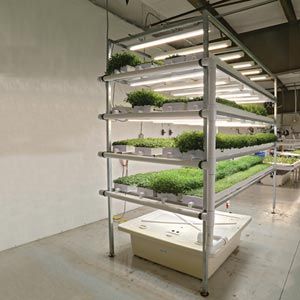 FarmTek HydroCycle Pro Vertical Hydroponic Microgreen Growing System | Indoor Container Farming