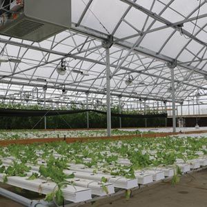 FarmTek HydroCycle Commercial 6" NFT Lettuce Growing Systems For Indoor Farming