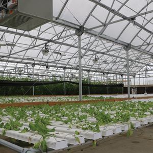 FarmTek HydroCycle Commercial 6" NFT Lettuce | Growing Systems For Indoor Farming