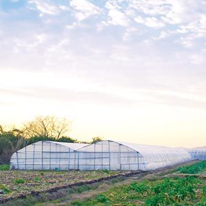 FarmTek GrowSpan Gothic Style Multi-Bay Greenhouse System