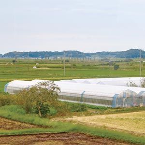 FarmTek GrowSpan Gothic Style Multi-Bay Greenhouse System