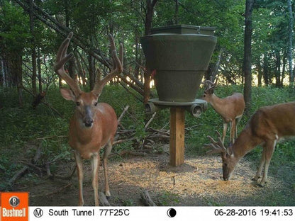 EGC Traps Feedbank 600 Gravity Deer Feeder | FB600 | Capacity 600 lbs | 4 Ports | Tree & 6×6 Post Mount | For Banks Outdoors