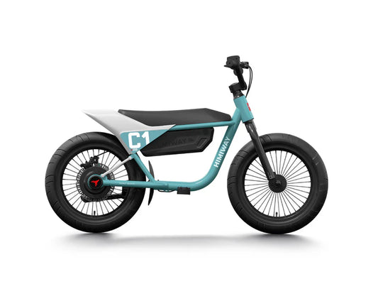 Himiway C1 | Kids Electric Bike | 350W Brushless Gear Motor | Heavy-Duty Aluminium Kickstand