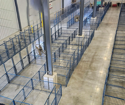 Sydell Multi-Species Arched Front Gate | FPEV4A4 &FPEV5A5 | Width 48" To 72" | For Livestock Show Pens