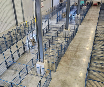 Sydell Vertical Fair Show Pen Panels | FPEV | Width 4' To 10' | For Multi-Species Livestock Pens