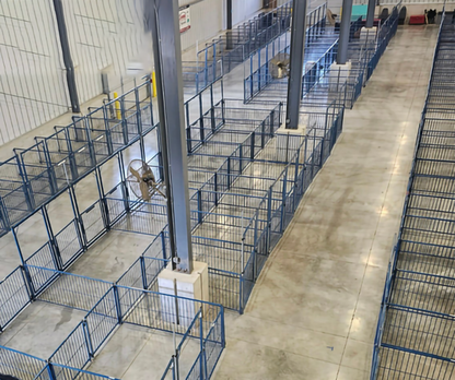 Sydell Multi-Species Vertical Fair Show Pen Panels | FPEV | 4'–10' Width | 42" Height | For Livestock