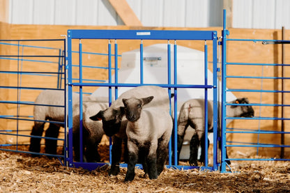 Sydell Complete Creep Feed Area Kit | #0150 | Feeder 400 lb | For Lamb & Kid Sheep & Goat System