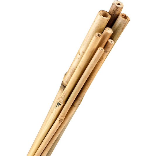 Forestry Supplies Bamboo Stakes- 1/2” x 5’- Bundle of 250