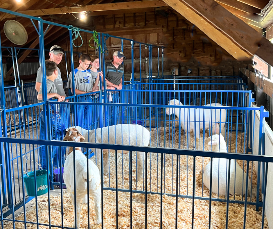 Sydell Vertical Fair Show Pen Panels | FPEV | Width 4' To 10' | For Multi-Species Livestock Pens