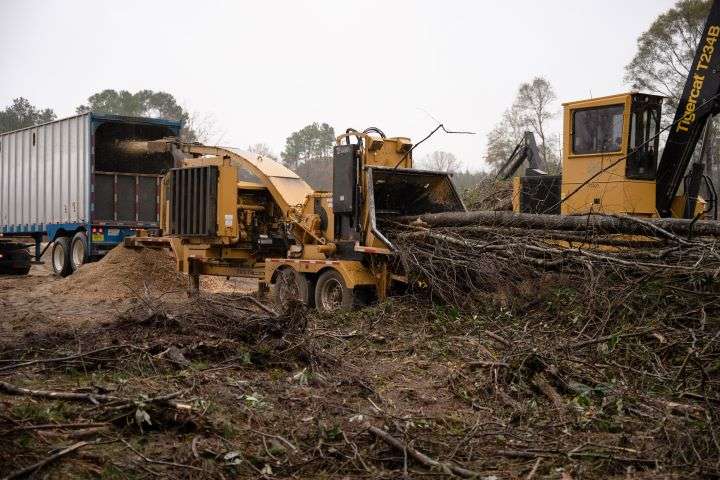 2025 Bandit Drum Style Whole Tree Chipper | Model 2590 - Track & Towable | Hydraulic Flow 1,120 RPM | Engine Horsepower 755-800 HP