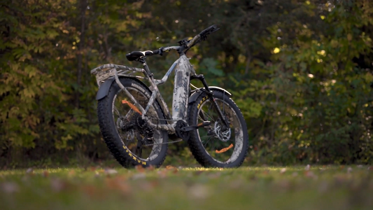 Rambo | E-Bike | Model Venom 2.0 | 1,000W Ultra Drive Mid-Motor | Speed Up-To 32 Mph | Up to 65-Mile Range | 48V 20Ah LG Battery