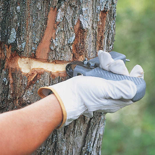 The Ringer Tree Girdler