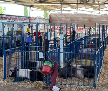 Sydell Vertical Fair Show Pen Panels | FPEV | Width 4' To 10' | For Multi-Species Livestock Pens