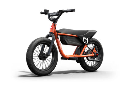 Himiway C1 | Kids Electric Bike | 350W Brushless Gear Motor | Heavy-Duty Aluminium Kickstand