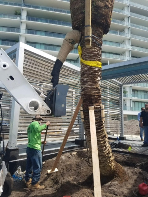 Virnig Tree Boom | Model TRBM | Adds 46.5" Lift Height | Hydraulic Flow 15 To 25 GPM | For Skid Steer