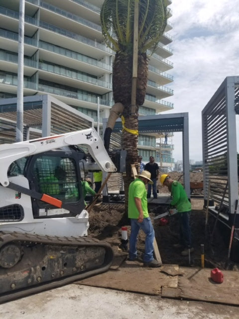 Virnig Tree Boom | Model TRBM | Adds 46.5" Lift Height | Hydraulic Flow 15 To 25 GPM | For Skid Steer